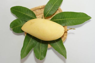 Beyaz arka planda sarı mango