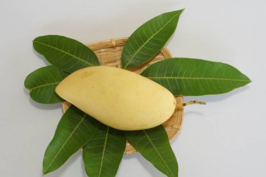 Beyaz arka planda sarı mango