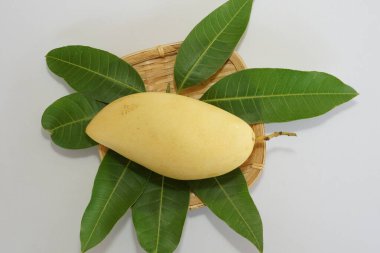 Beyaz arka planda sarı mango