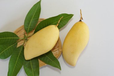 Beyaz arka planda sarı mango