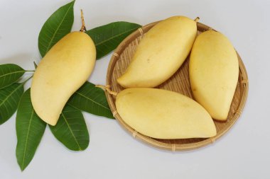 Beyaz arka planda sarı mango