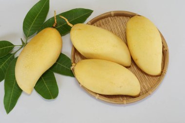 Beyaz arka planda sarı mango