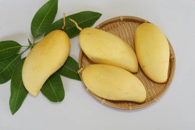 Beyaz arka planda sarı mango