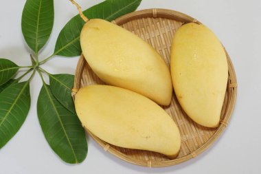 Beyaz arka planda sarı mango