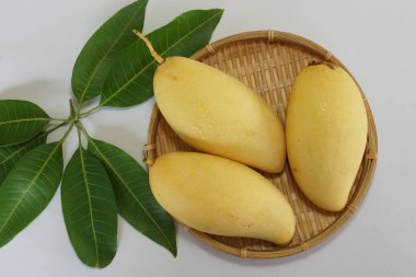 Beyaz arka planda sarı mango