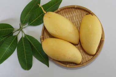 Beyaz arka planda sarı mango