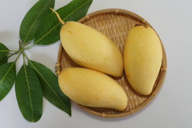 Beyaz arka planda sarı mango