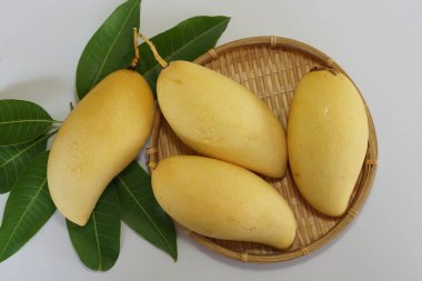 Beyaz arka planda sarı mango