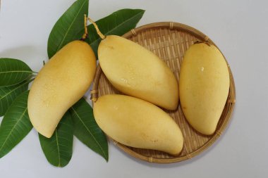 Beyaz arka planda sarı mango