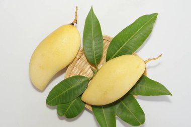 Beyaz arka planda sarı mango