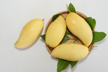 Beyaz arka planda sarı mango