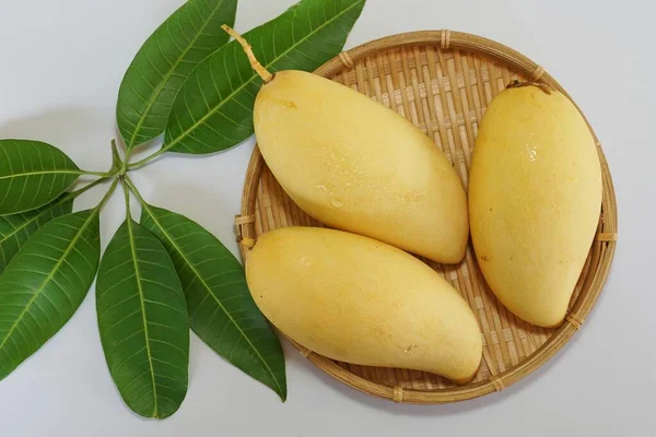 Beyaz arka planda sarı mango