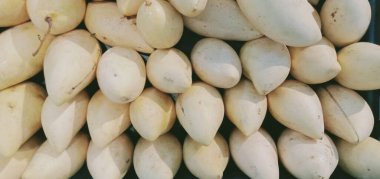 Taze mango meyvelerini kapatın.