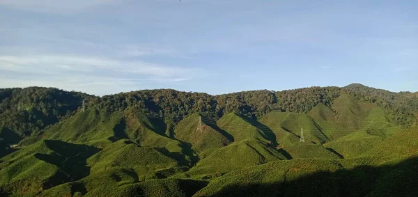 Panorama Del Paisaje Plantaciones Cameron Highlands Malasia —  Fotos de Stock