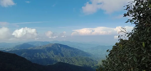 Blick Auf Die Cameron Highlands Malaysia — Stockfoto