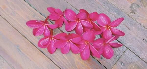 Close Flores Plumeria Vermelhas Fundo Madeira — Fotografia de Stock