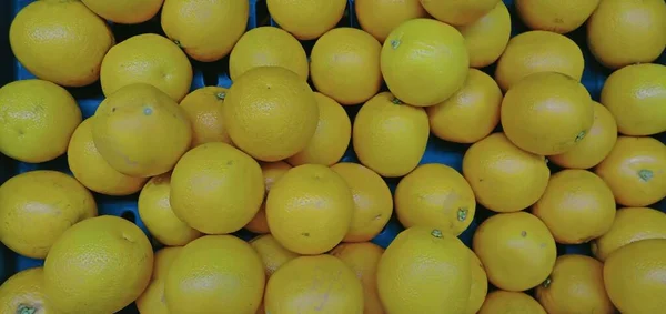 Utrata Owoców Cytryny — Zdjęcie stockowe