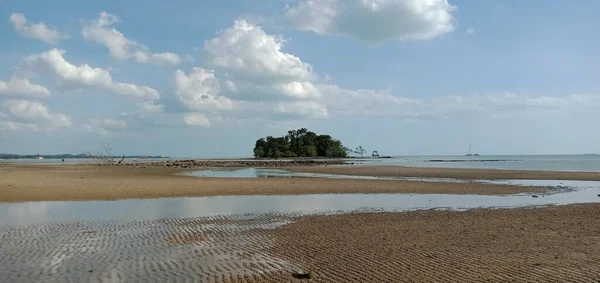 Martwe Drzewa Kamienie Plaża Znajduje Się Plaży Tajung Bidara Melaka — Zdjęcie stockowe