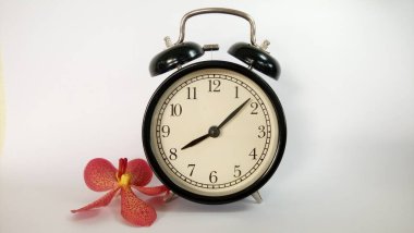 Beyaz arkaplanda çalar saat ve orkide çiçeği