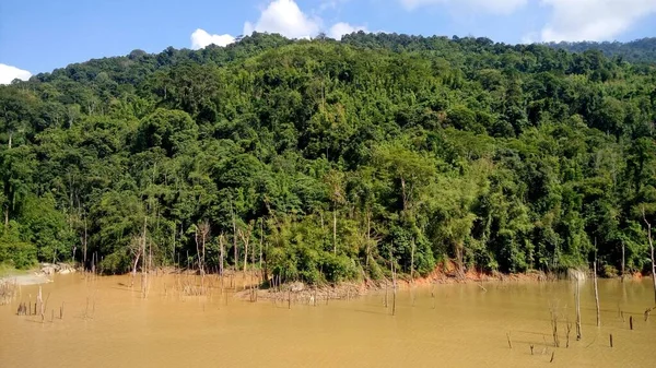 View Mountain Tropical Forest — Stock Fotó