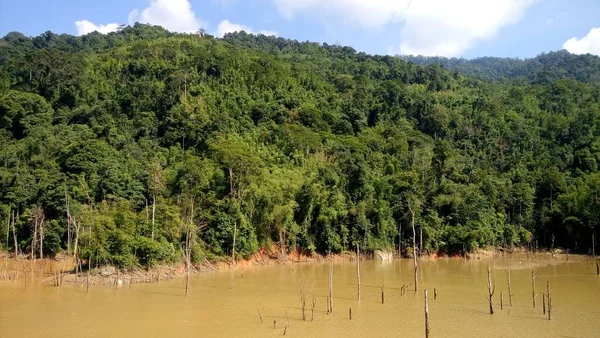 View Mountain Tropical Forest — Stock Fotó