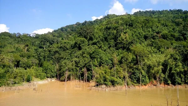 Une Vue Sur Montagne Forêt Tropicale — Photo