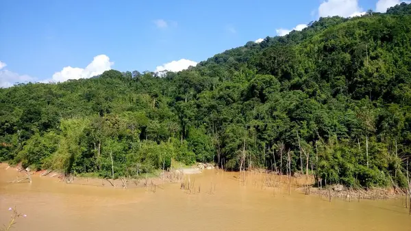 View Mountain Tropical Forest — Stock Fotó