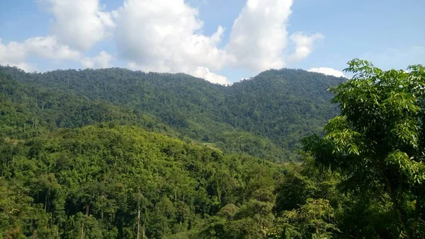 Una Vista Montaña Bosque Tropical — Foto de Stock