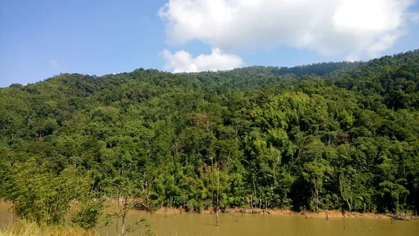 View Mountain Tropical Forest — Stock Fotó