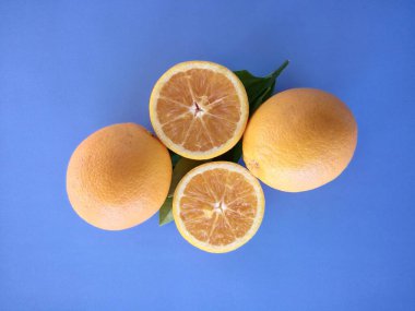 turuncu meyveler mavi arkaplanda izole