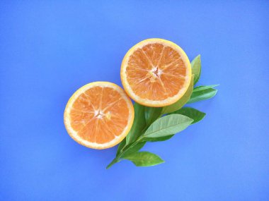 turuncu meyveler mavi arkaplanda izole