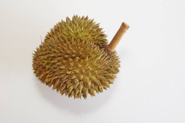 Beyaz arkaplanda durian meyvesi
