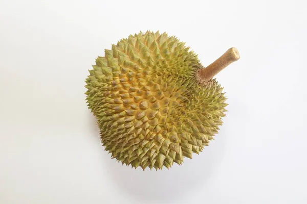 Durian Φρούτα Στο Λευκό Φόντο — Φωτογραφία Αρχείου