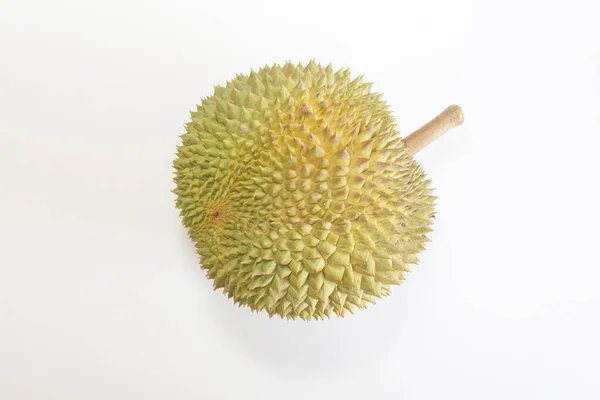 Durian Frutas Isoladas Sobre Fundo Branco — Fotografia de Stock