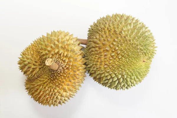 Buah Durian Diisolasi Latar Belakang Putih — Stok Foto