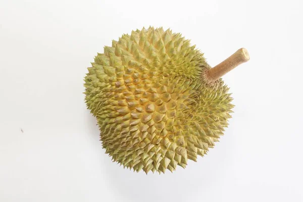Durian Φρούτα Απομονωμένα Λευκό Φόντο — Φωτογραφία Αρχείου