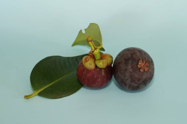 Mavi arka planda izole edilmiş mangosteen meyveleri