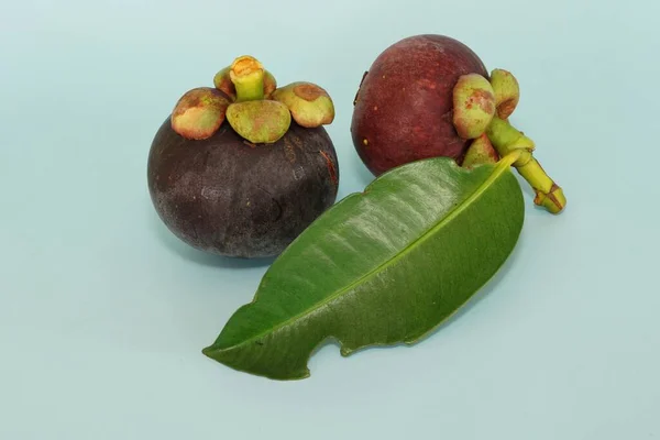 Fructe Mangosteen Izolate Fundal Albastru — Fotografie, imagine de stoc