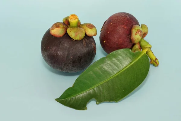 Καρποί Mangosteen Απομονωμένοι Μπλε Φόντο — Φωτογραφία Αρχείου