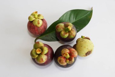 Beyaz arka planda taze mangosteen meyveleri