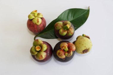 Beyaz arka planda taze mangosteen meyveleri
