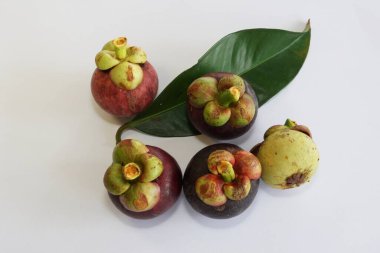 Beyaz arka planda taze mangosteen meyveleri