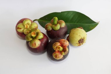 Beyaz arka planda taze mangosteen meyveleri