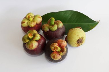 Beyaz arka planda taze mangosteen meyveleri