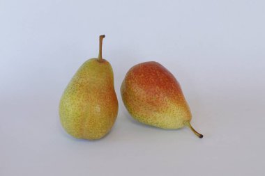 armut meyveleri beyaz arkaplanda izole