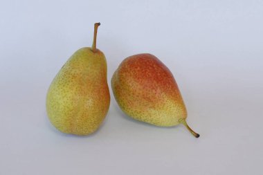 armut meyveleri beyaz arkaplanda izole