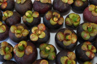 mangosten meyve yakın çekim