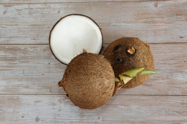 Coconut Trä Bakgrund — Stockfoto