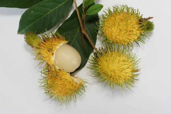 Yellow Rambutan Fruits White Background — Fotografia de Stock