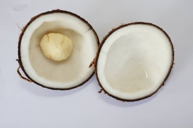 Beyaz arka planda hindistan cevizi